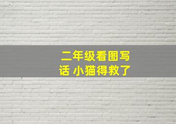 二年级看图写话 小猫得救了